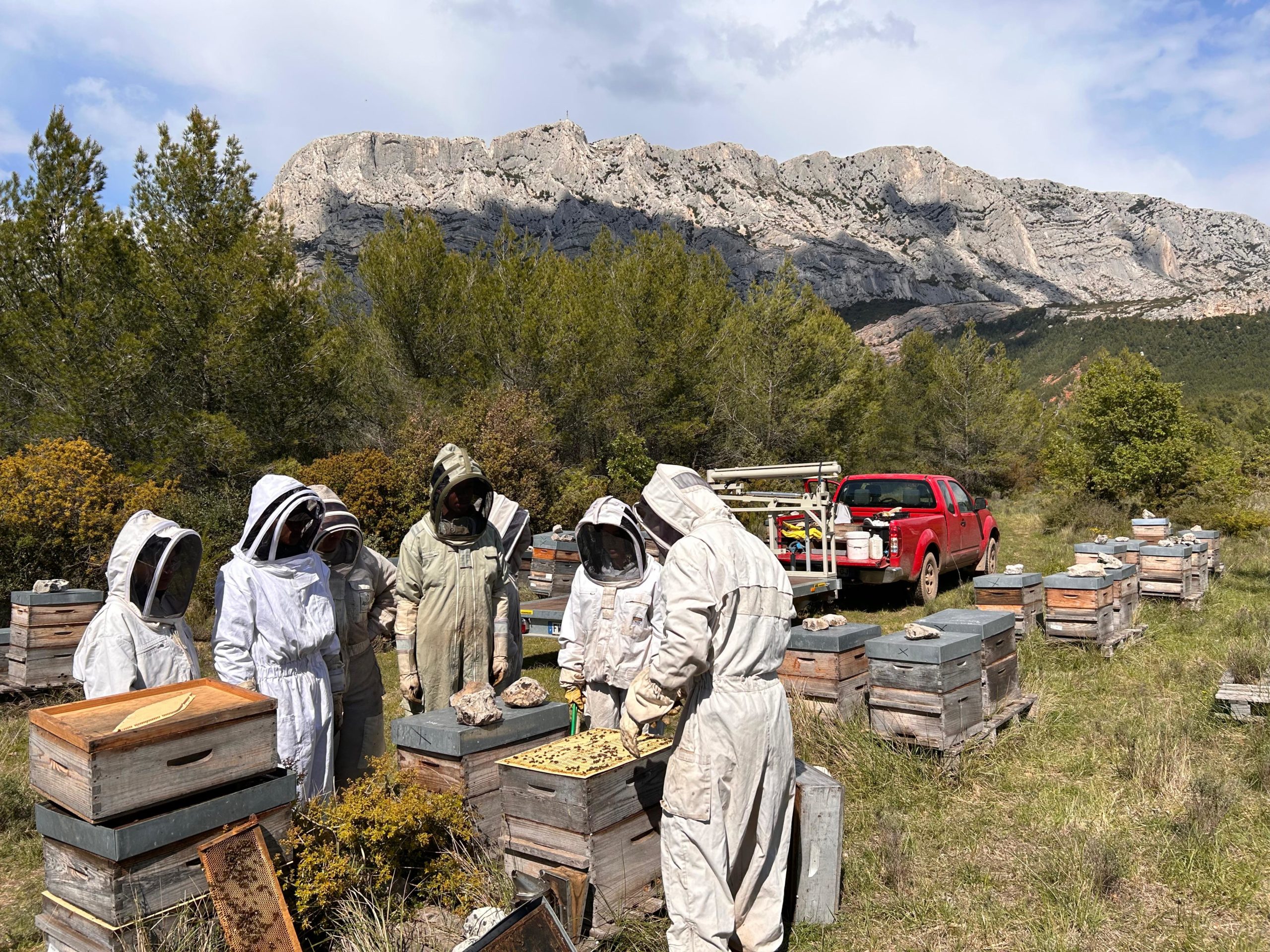 Ruchers au pied de la Sainte-Victoire